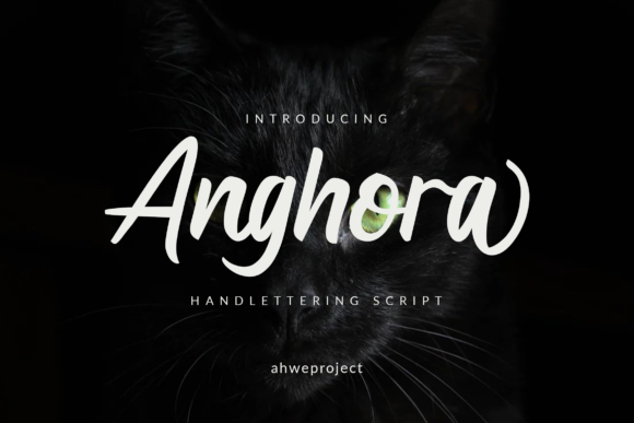 Anghora: A Classy Script Font for Your Brand