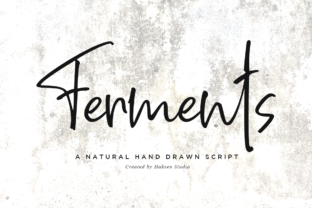 Ferments: A Handwritten Font for Modern Web Design
