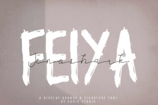 Jenoshark Feiya: A Quirky Script Font for Brand Identity