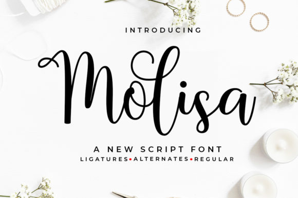 Molisa: The Playful Script Font for Marketers