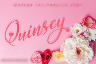 Quinsey: The Handwritten Font for Campaign Clarity