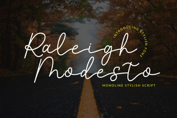 Raleigh Modesto: A Modern Script Font for Web Design