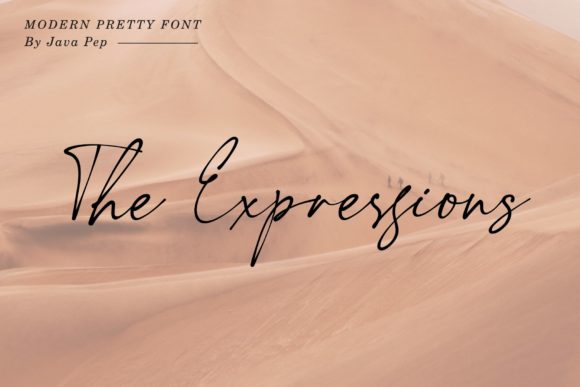 The Expressions: A Premium Script Font for Brand Identity